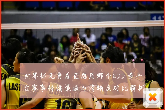 世界杯免费看直播用哪个app 多平台赛事转播渠道与清晰度对比解析
