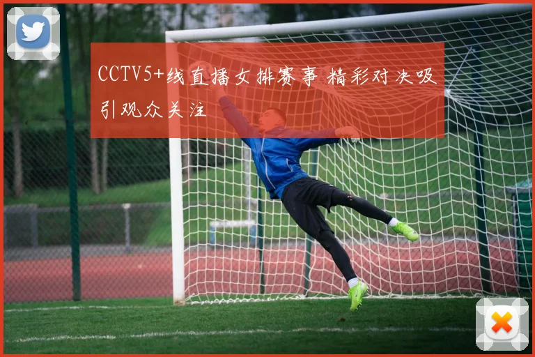 CCTV5+线直播女排赛事 精彩对决吸引观众关注