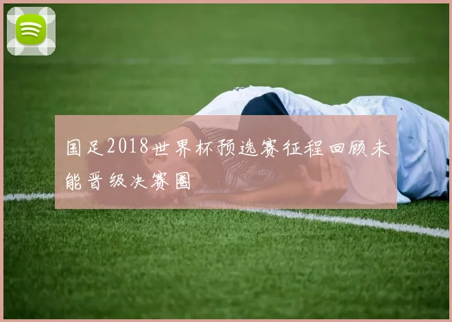国足2018世界杯预选赛征程回顾未能晋级决赛圈