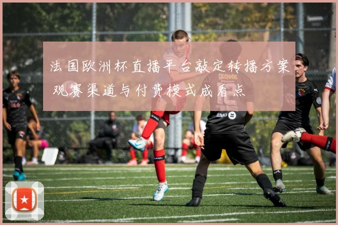 法国欧洲杯直播平台敲定转播方案 观赛渠道与付费模式成看点