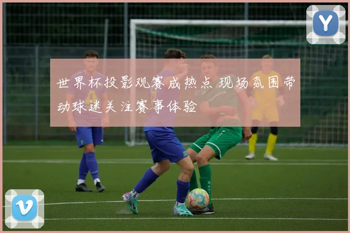 世界杯投影观赛成热点 现场氛围带动球迷关注赛事体验