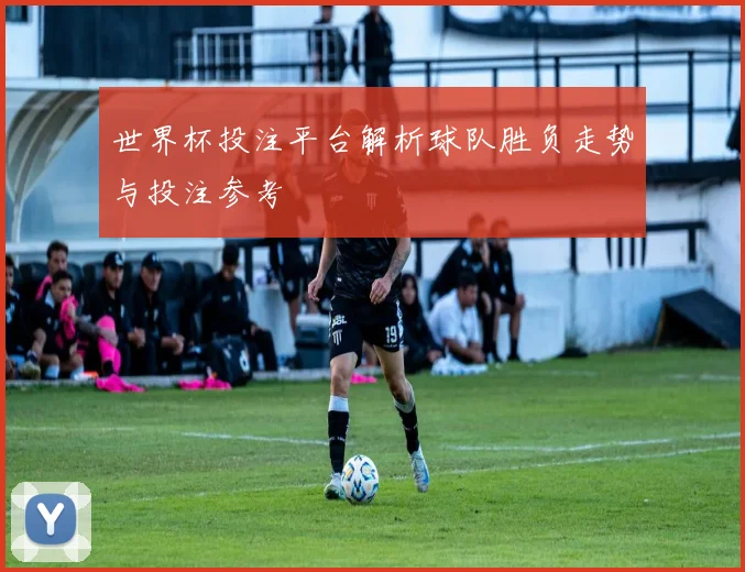 世界杯投注平台解析球队胜负走势与投注参考