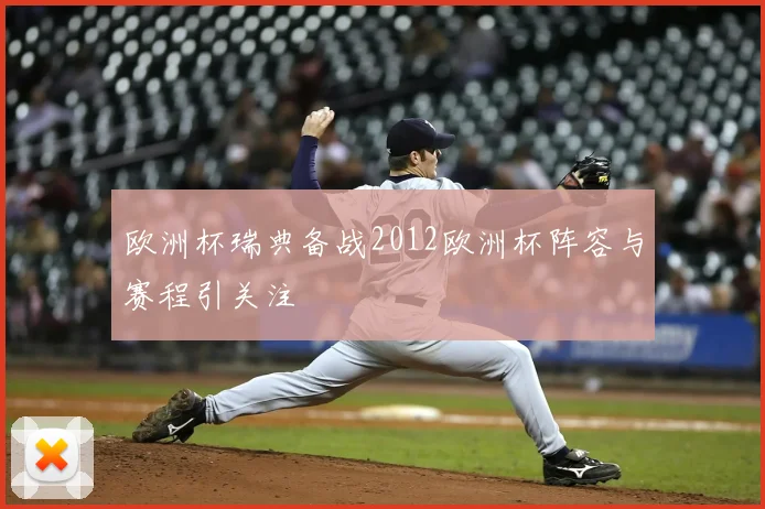 欧洲杯瑞典备战2012欧洲杯阵容与赛程引关注