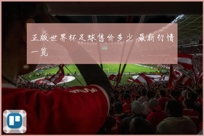 正版世界杯足球售价多少 最新行情一览
