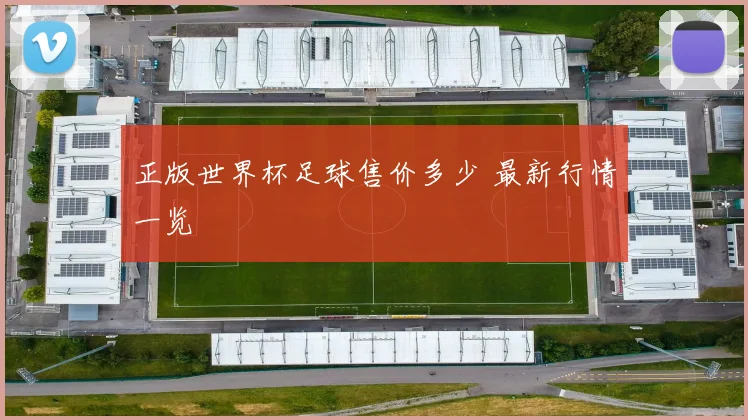 正版世界杯足球售价多少 最新行情一览