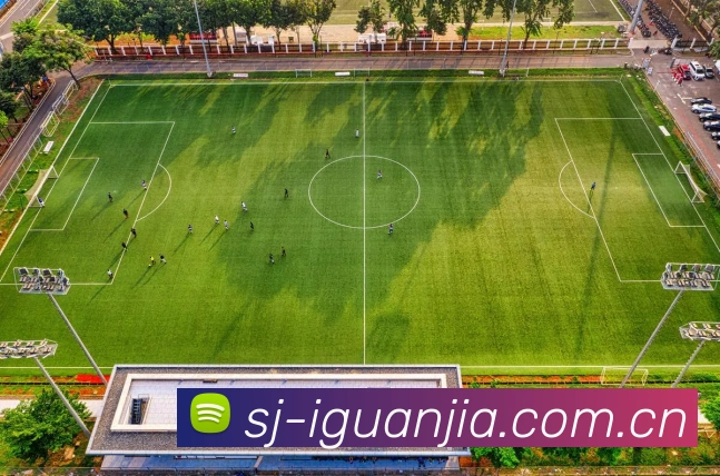 数据防护可视化